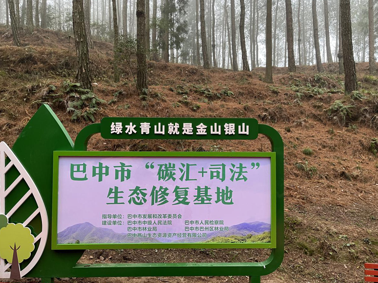 툰코 접속안됨 접속안됨